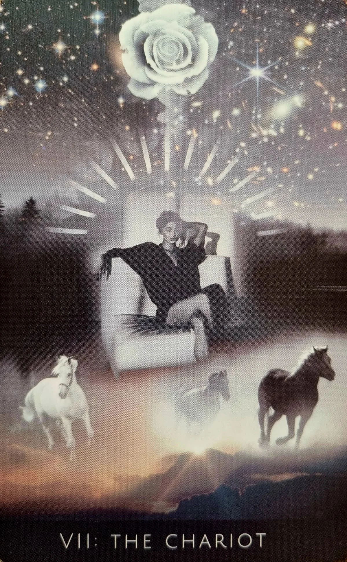 The Chariot card from the Rooted Remembrance Tarot, a figure reclining beneath a starburst rose, flanked by a white horse and a dark horse