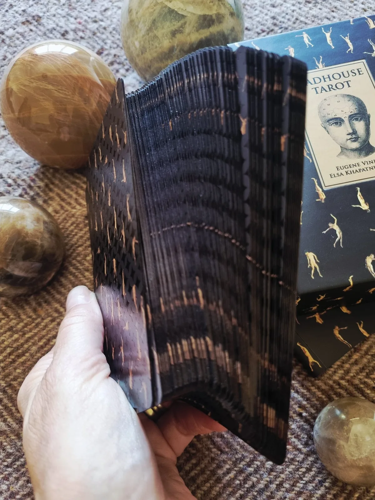 The black gilded edges of The Madhouse Tarot fanned in the hand