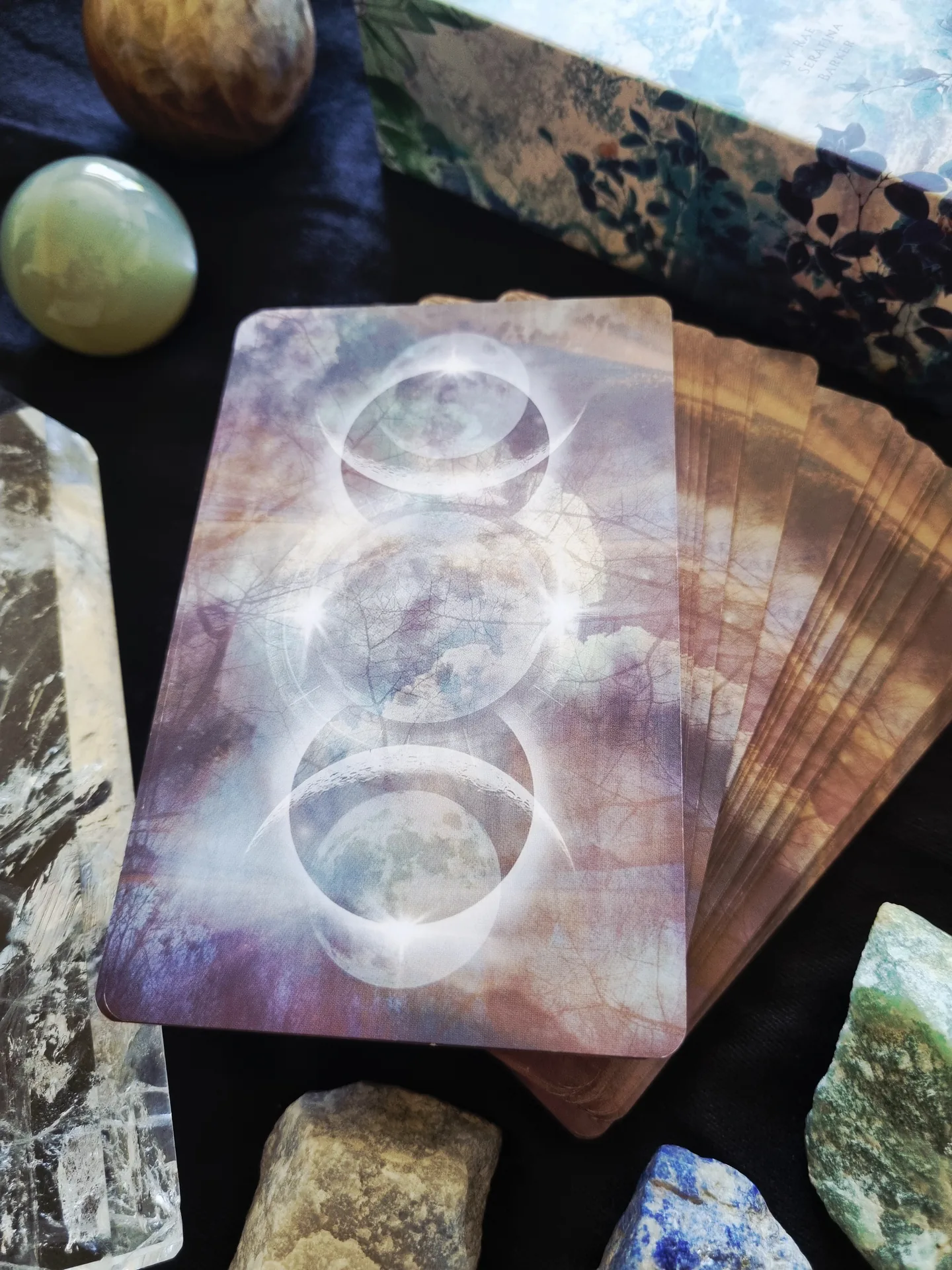 Rooted Remembrance Tarot deck fanned beside its two-piece presentation box