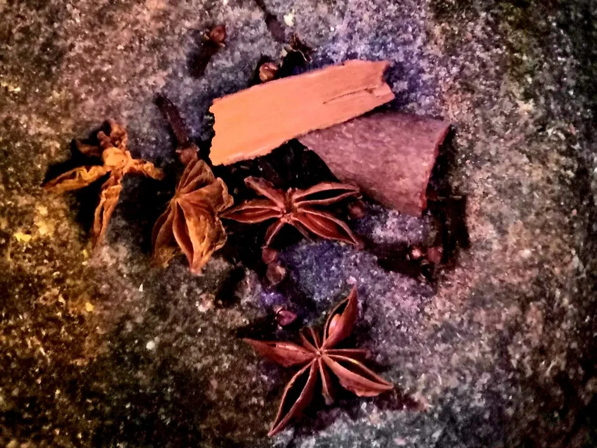 cinnamon, star anise and cloves for the Samhain spiced apple and orange warmer