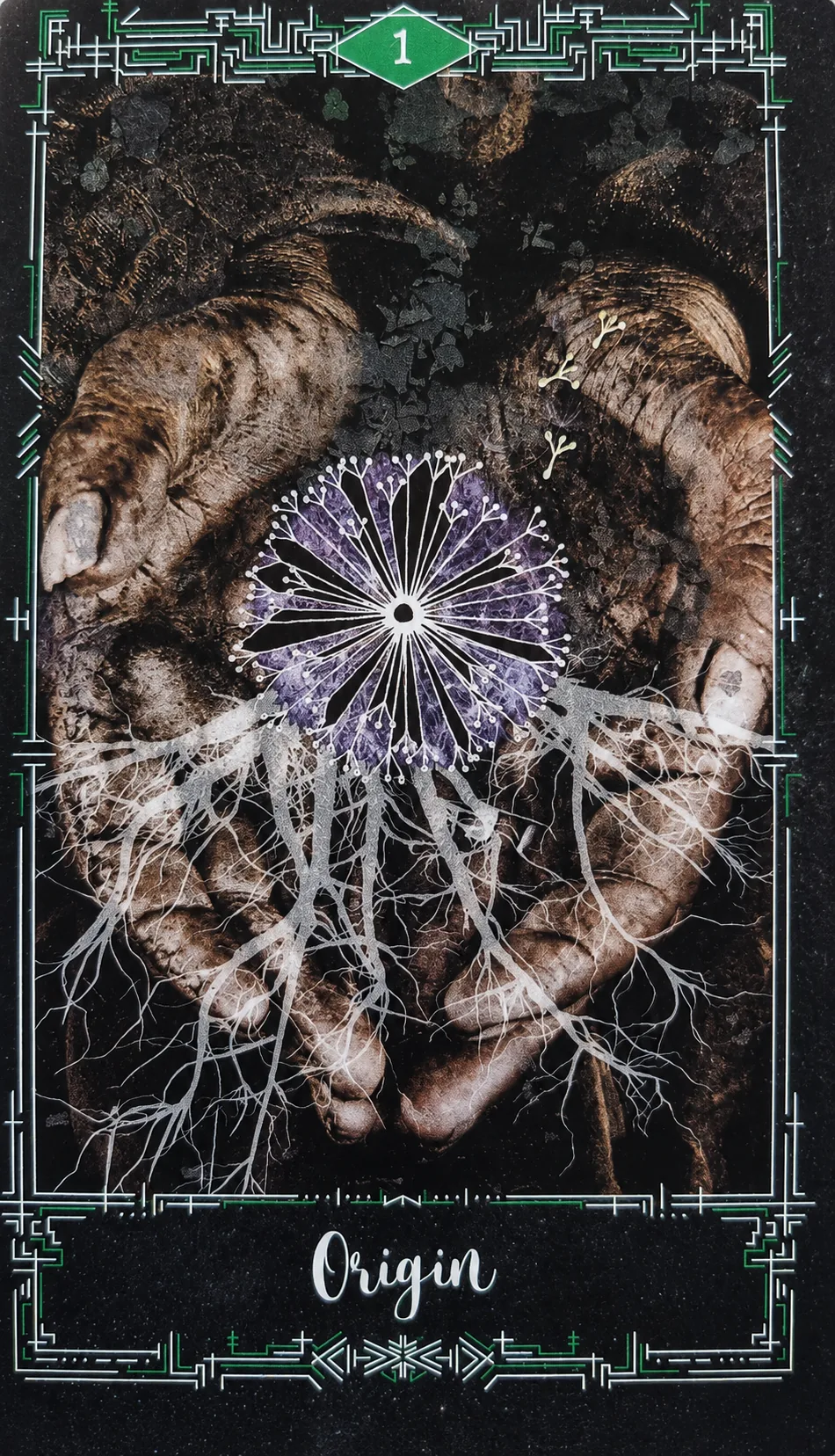 Ace of Pentacles card: hands cradling roots and a purple bloom, titled Origin