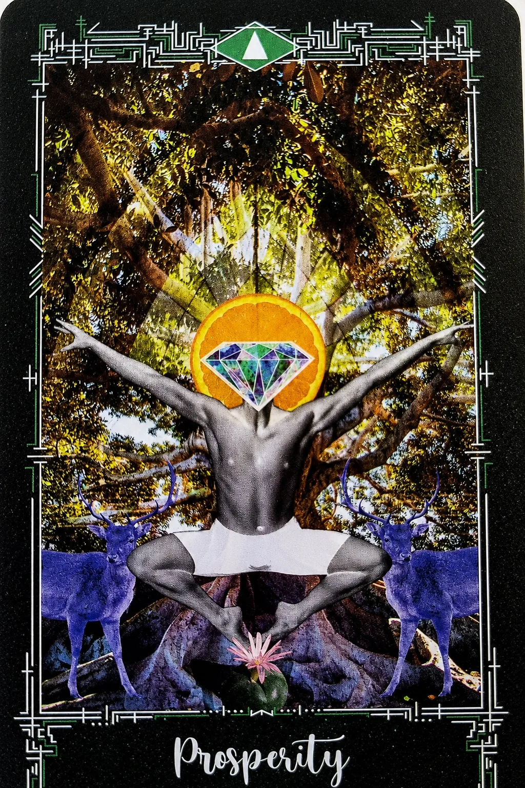 King of Pentacles, Prosperity, card from the Cosmosis Tarot