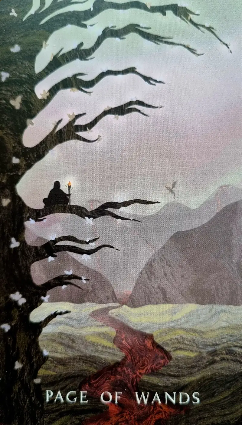 Page of Wands tarot card, a figure with a torch seated in a windswept tree above a lava river